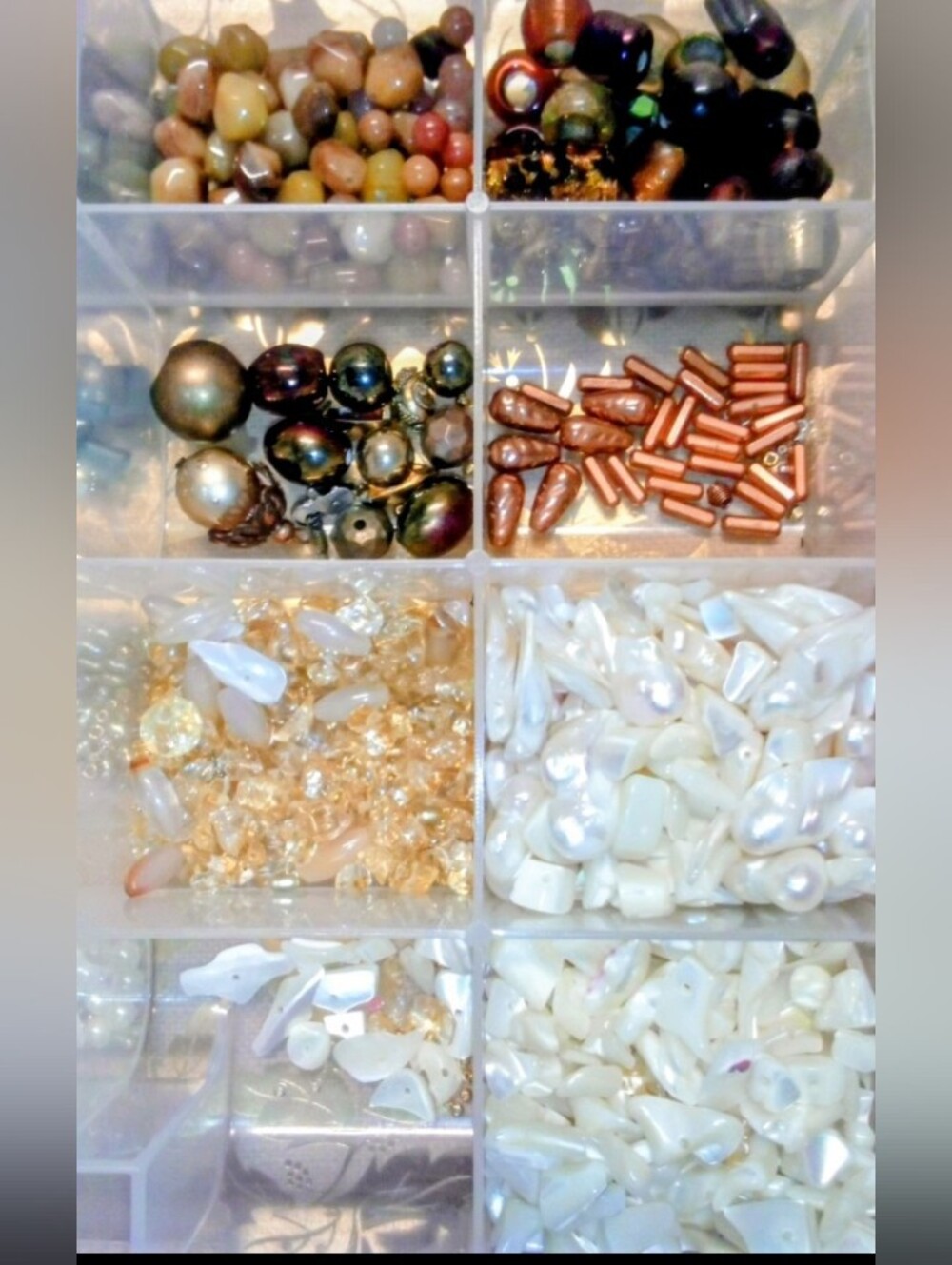 Shell, Rock & Random Bead Collection with Organizer Box - Picture 4 of 4